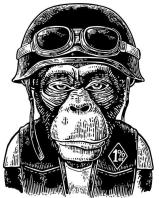 photofacefun_com_1513269076