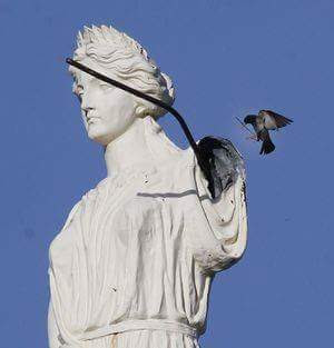 themis insane throttle biker news