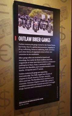 outlaw biker gangs