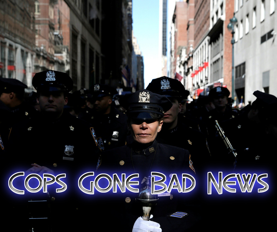 cops gone bad/dirty cops