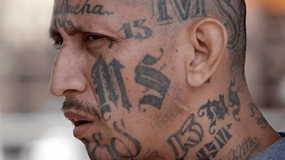 Six of the seven people charged in the stabbing death of a man in Maryland in July have been identified by federal officials as being part of the MS-13 gang and in the country&nbsp;illegally